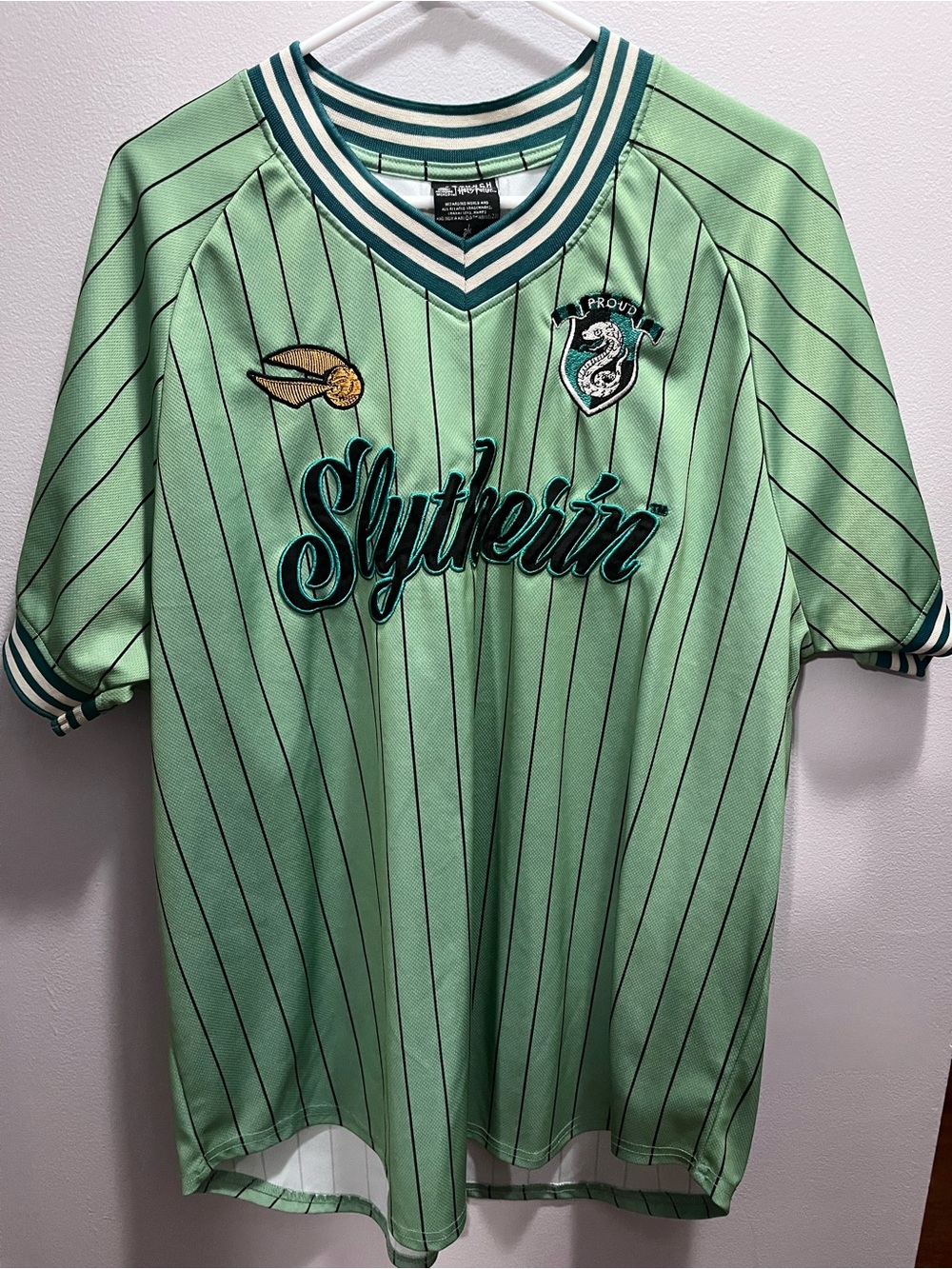 Boxlunch Harry Potter Slytherin Green Striped Baseball Jersey
